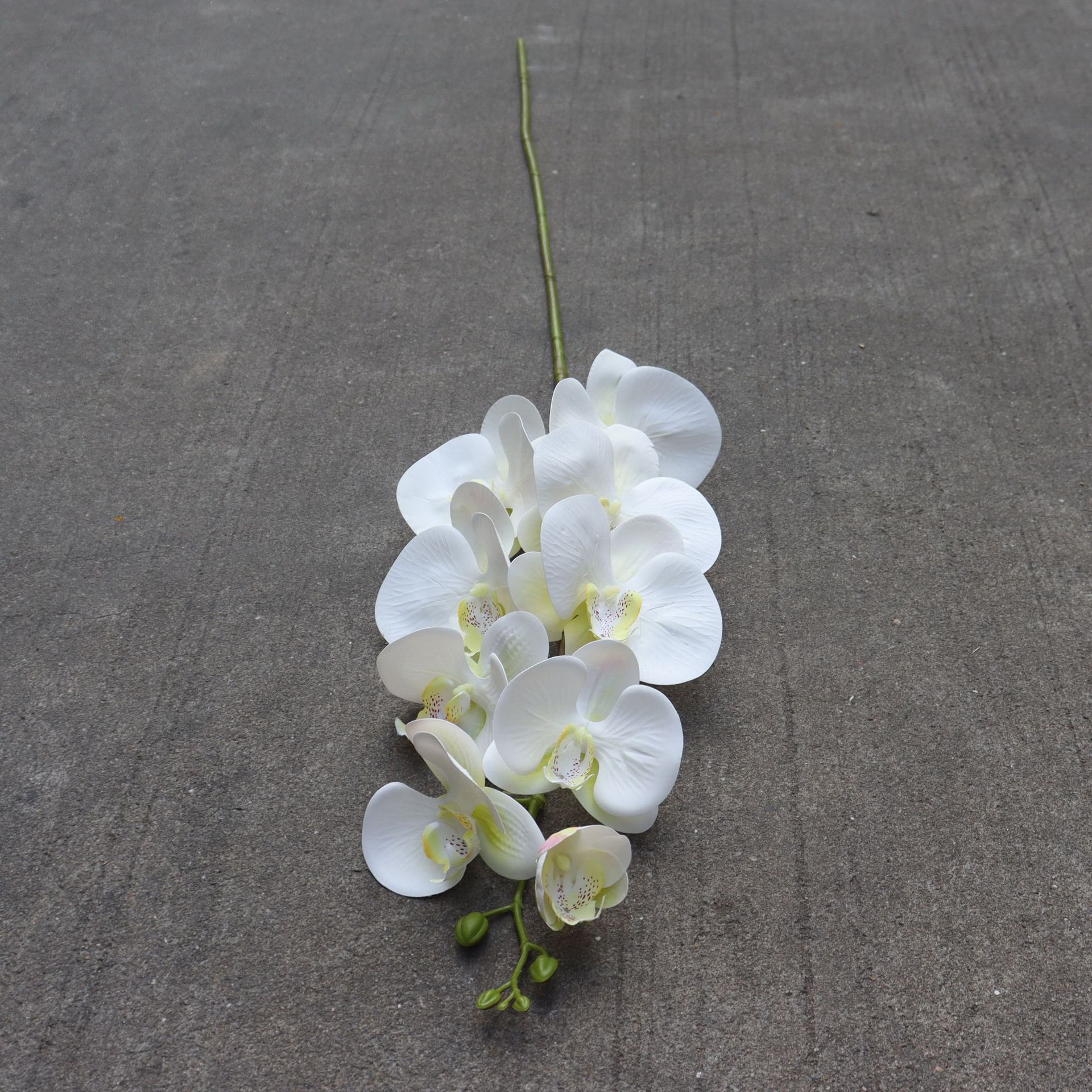 高品质仿真花9头3d打印蝴蝶兰超逼真手感假花北欧餐桌装饰婚庆花