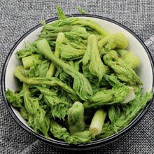 东北特产野生大叶芹山菜新鲜蔬菜山野菜山芹菜3斤包邮原产地直销