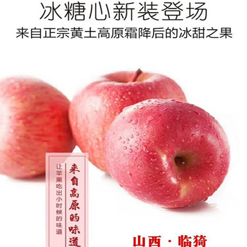 【山西临猗高原糖心丑苹果】当季脆甜可口10斤红富士新鲜水果代发
