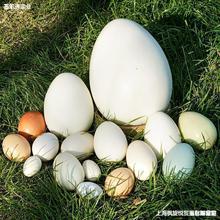 仿真鸡蛋鹅蛋鸭蛋鸵鸟蛋恐龙蛋鹌鹑蛋巨蛋假鸡蛋模型橱窗摄影道具