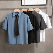 夏季商务男士职业套装短袖衬衫西裤一套修身面试上班正装衬衣