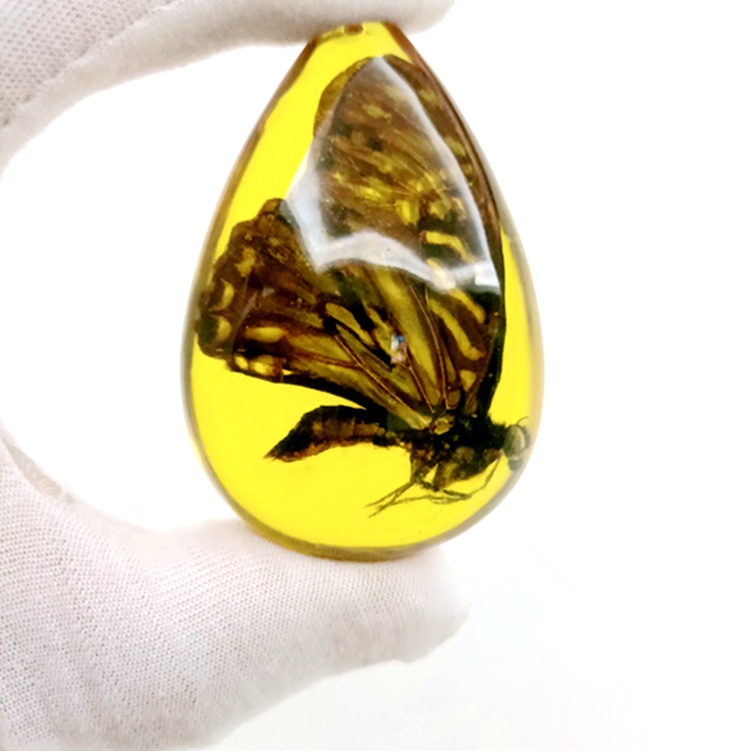 天然昆虫真昆虫学生教学琥珀标本琥珀吊坠蝎子蝴蝶荧光松香味批发