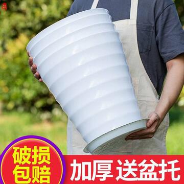花瓶非陶瓷种花盆丨大特大号清仓陶瓷30cm幸福树客厅虎皮兰玉树用