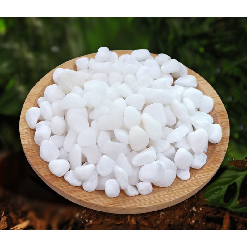 白石子白色石头多肉铺面园林绿化造景鹅卵石庭院铺路铺地小白石头