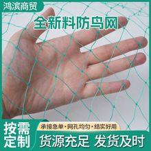 涤纶防鸟网 果园加粗防鸟加厚网养殖大棚果园网跨境爬藤网