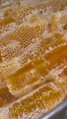 蜂巢蜜 云南特产蜂巢蜜蜂蜜自产蜂蜜跑江湖地摊蜂巢蜜批 净重90斤