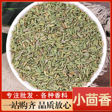 小茴香茴香粉产地货源小茴香调味品中药材批发火锅料香料大茴香