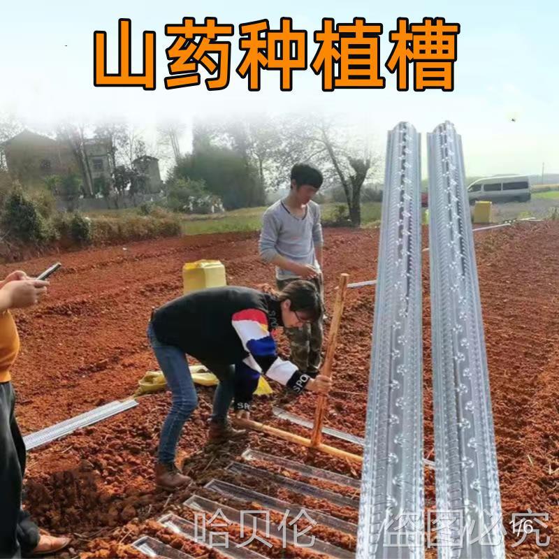 种山药淮山种植u型槽种模具淮山种植槽定向培育管引导浅生料-阿里巴巴