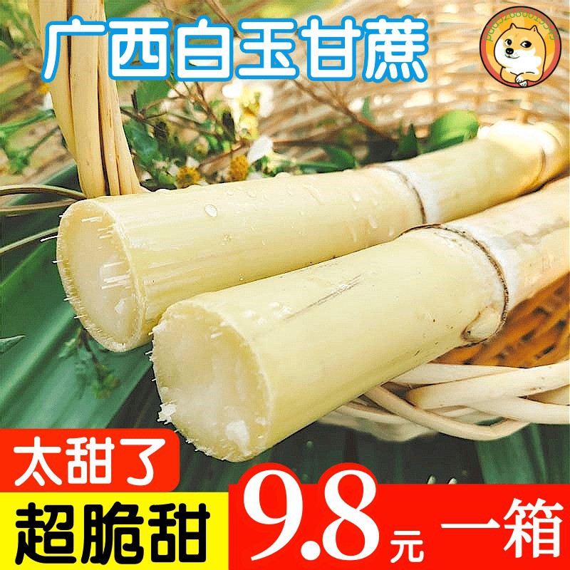 广西木格白玉甘蔗新鲜中段白皮批发包邮水果甘庶5斤10斤蔗甜杆3斤