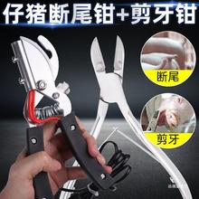 小猪电热断尾钳猪用仔猪小猪剪尾剪牙钳不锈钢羊羔断尾器养猪其他