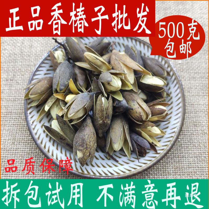 香椿树籽 香椿子店铺 香铃子香椿种籽香春子500g真货好货-阿里巴巴
