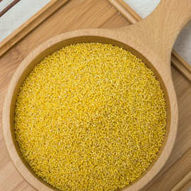 河北张家口特产蔚县花农家黄小米小黄米新米蔚州小米粥50斤