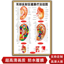 耳朵穴位图挂图医院保健店家用按摩发射区经络图纸宣传海报批发