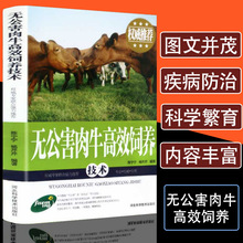 正版无公害肉牛饲养技术养牛大全肉牛养殖技术的书畜牧兽医专业书