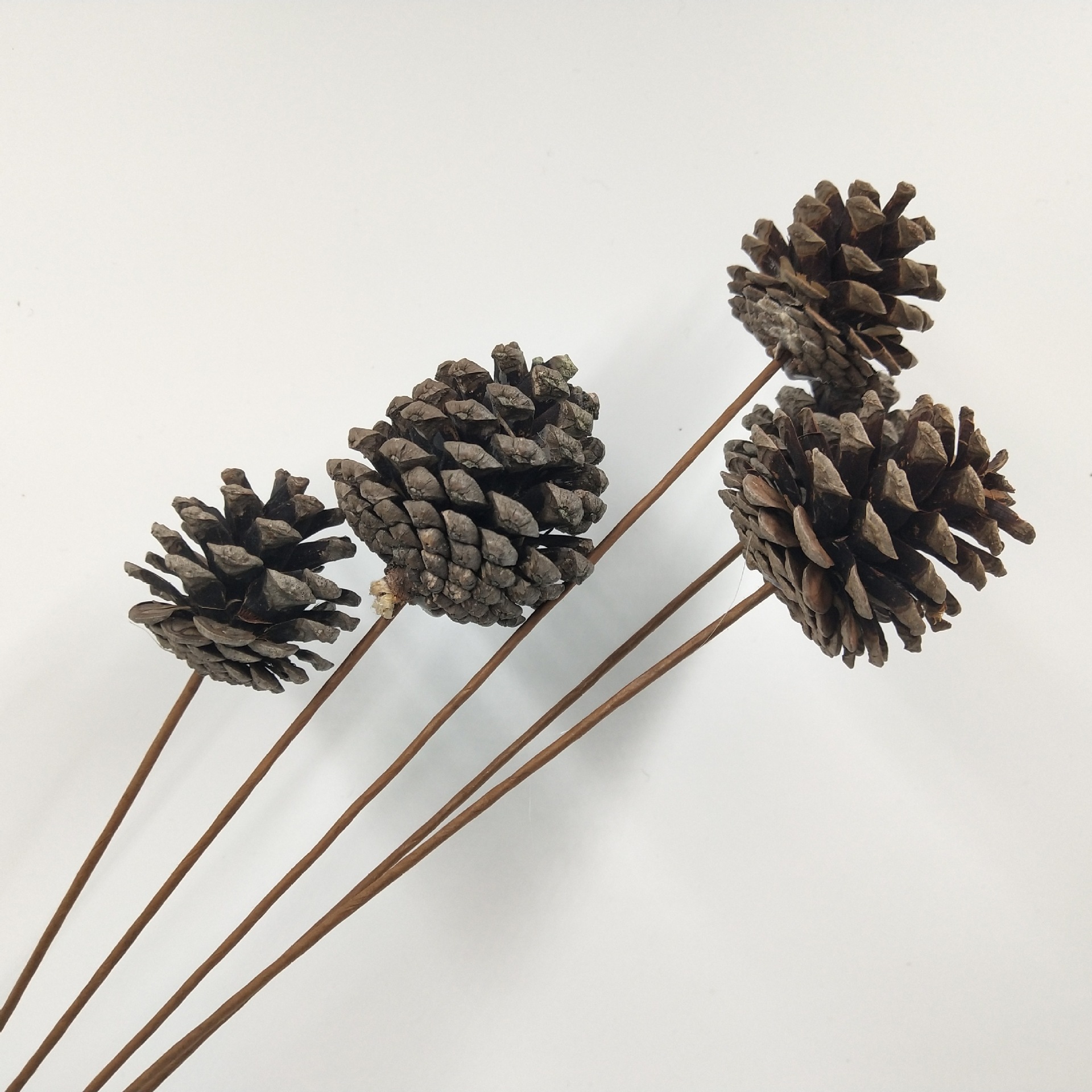 【松子松果】天然松果干花圣诞节装饰品幼儿园手工diy材料