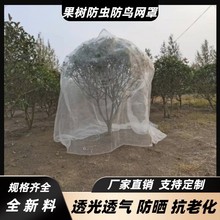 果树防鸟防虫网纱网果树防虫大鹏蔬菜水果蚊虫网袋透气加密围网