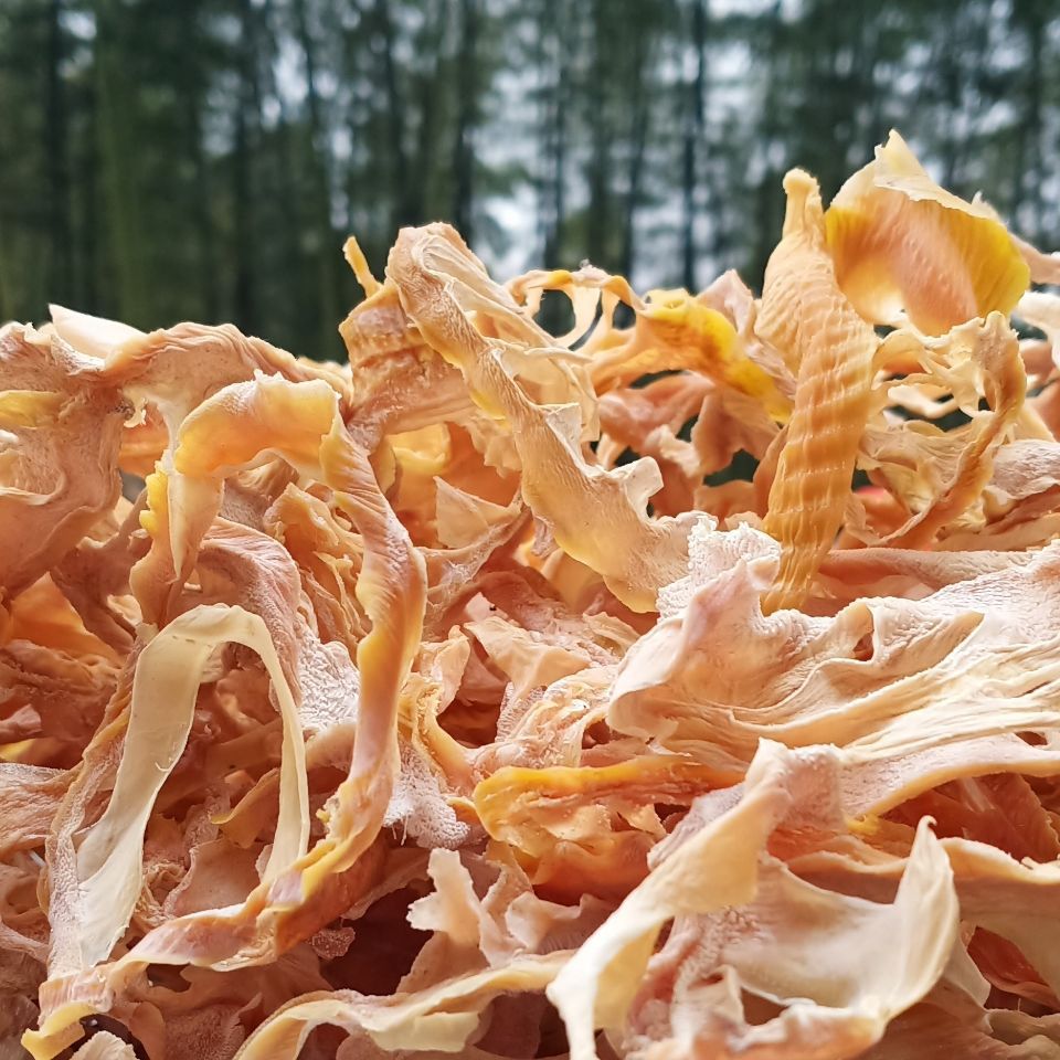 四川宜宾新鲜笋干楠竹笋干毛竹笋干特产干货玉兰片土特产