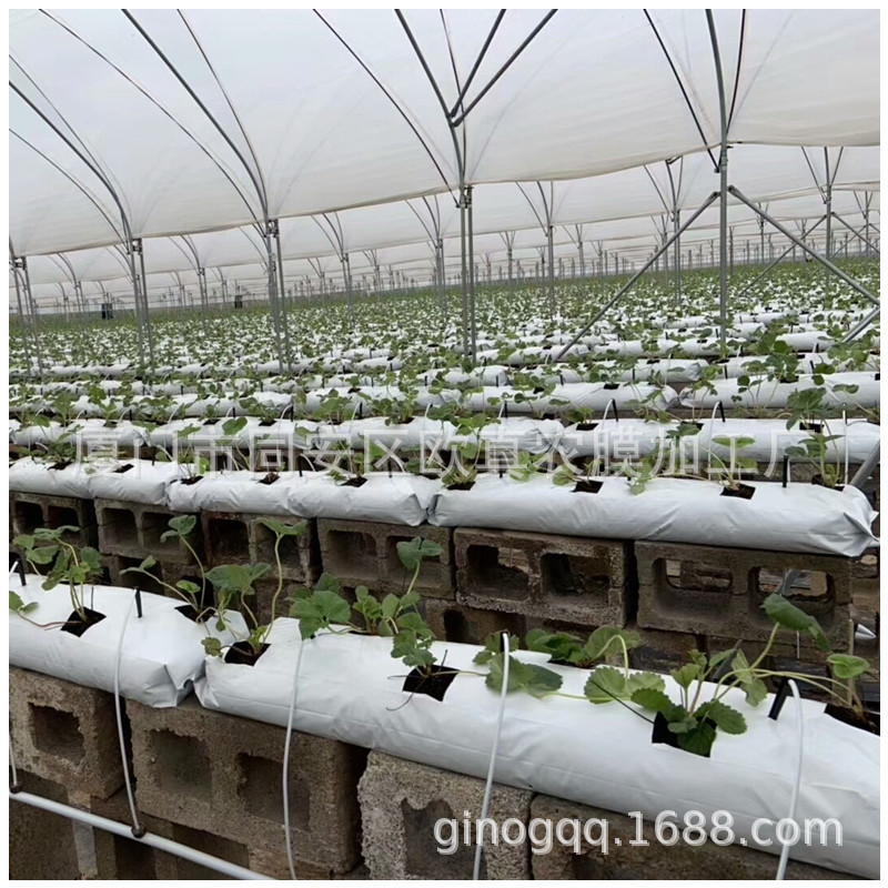 厂家销售黑白双色基质栽培袋 黑白种植袋 黄瓜种植条 卷膜