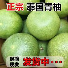 【销量前三】泰国青柚当季现摘新鲜薄皮蜜柚孕妇水果整箱批发批发