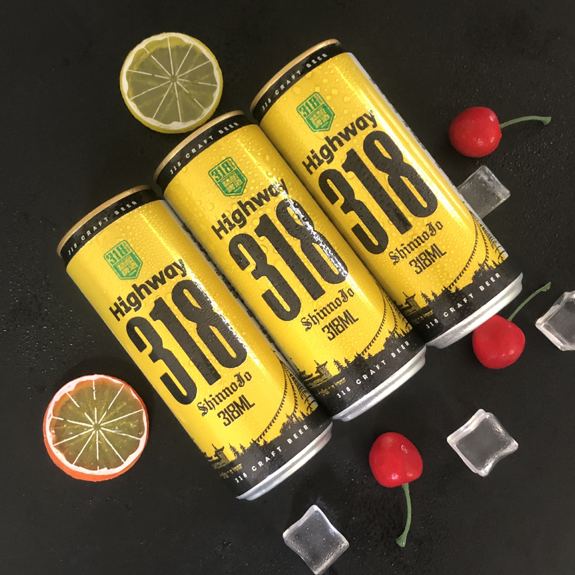 318号公路 精酿啤酒 318ml纤细罐精酿啤酒 318ml*10罐 潮年礼盒装