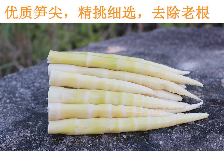 【不嫩包退】小竹笋尖嫩笋新鲜清水泡野生雷竹笋批发价10斥一整箱