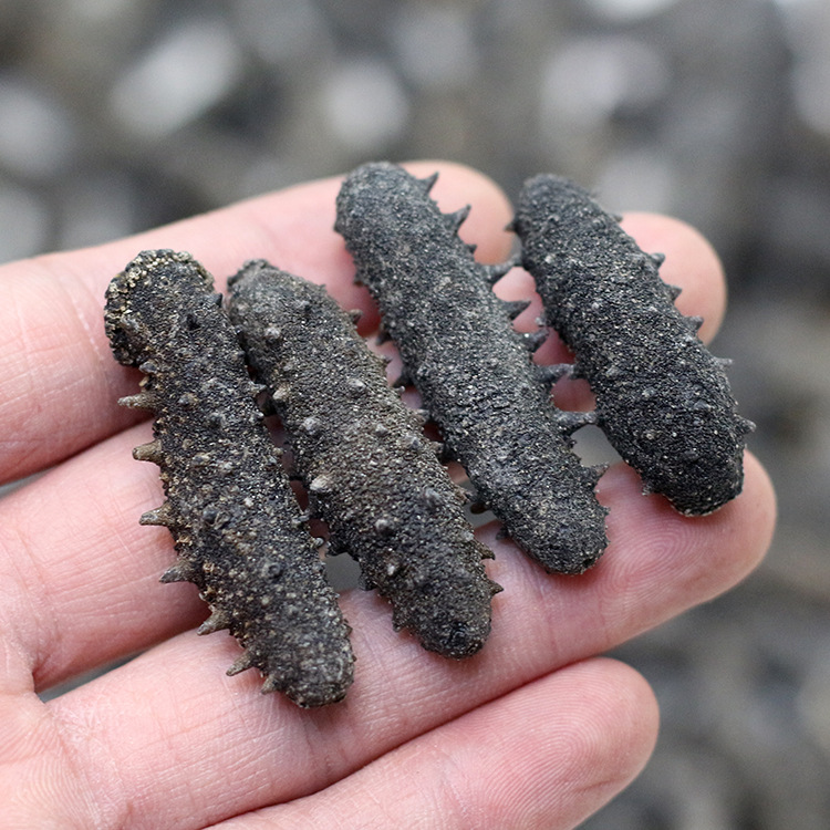 关西参辽参深海刺参 纯淡干海参干货30-300头 发12斤以上 500克