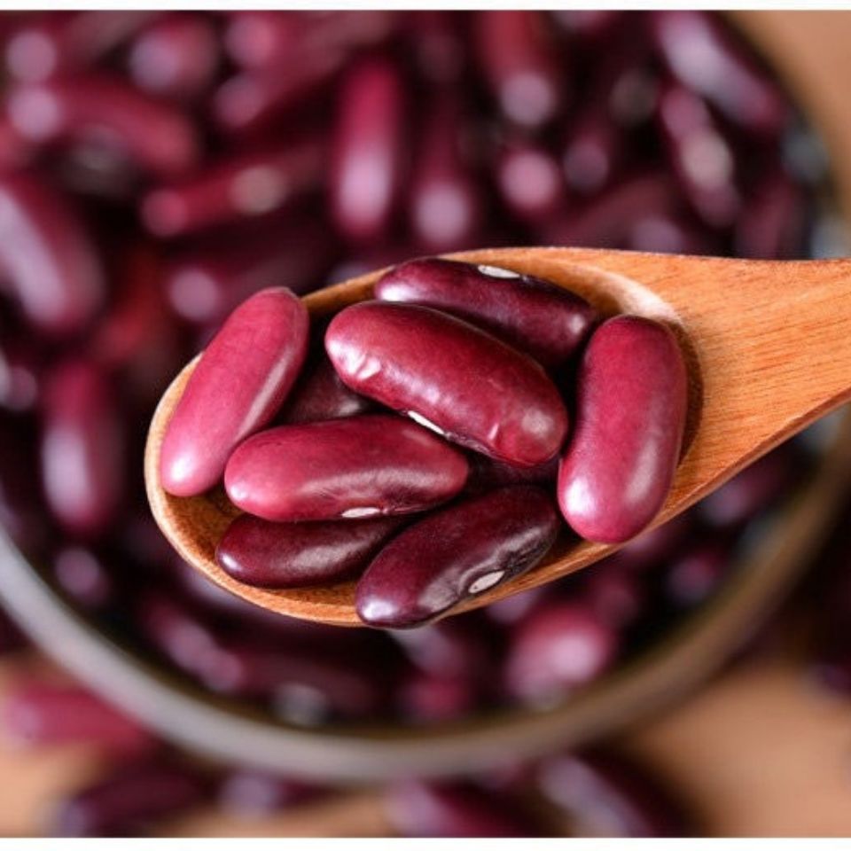 云南农家自种2021年新豆红腰豆红芸豆出沙杂粮煲汤粥粗粮酸汤红豆