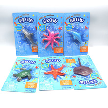 新奇膨胀海洋泡水动物6款泡水变大海星章鱼乌龟儿童早教益智玩具