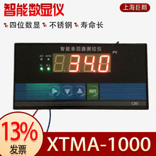 上仪六厂XTMA-1000智能数字显示调节仪 上下限报警4~20ma PID控制