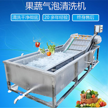 第一大型不锈钢叶菜清洗风干机 气泡式青菜自动清洗设备 洗蔬菜机