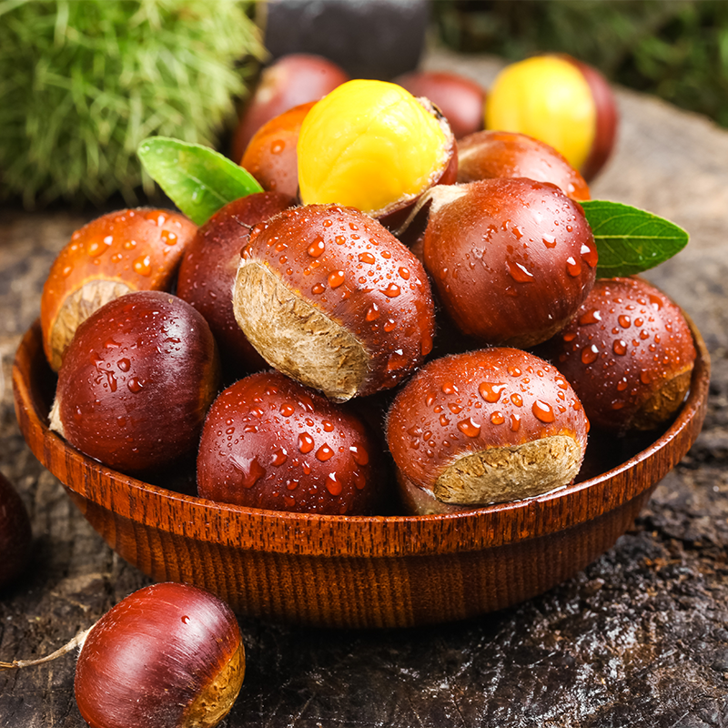 新鲜生板栗当季大毛栗子东北野生栗子小菜栗丹东板栗板粟非锥栗