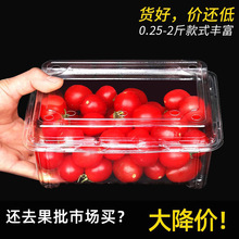 一次性水果盒草莓盒子包装打包塑料透明便当果蔬一斤装带盖水果盒