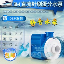 BM海水鱼缸直流针刷蛋分泵a5 a8 a9蛋分用泵dsp600dsp1000dsp4000