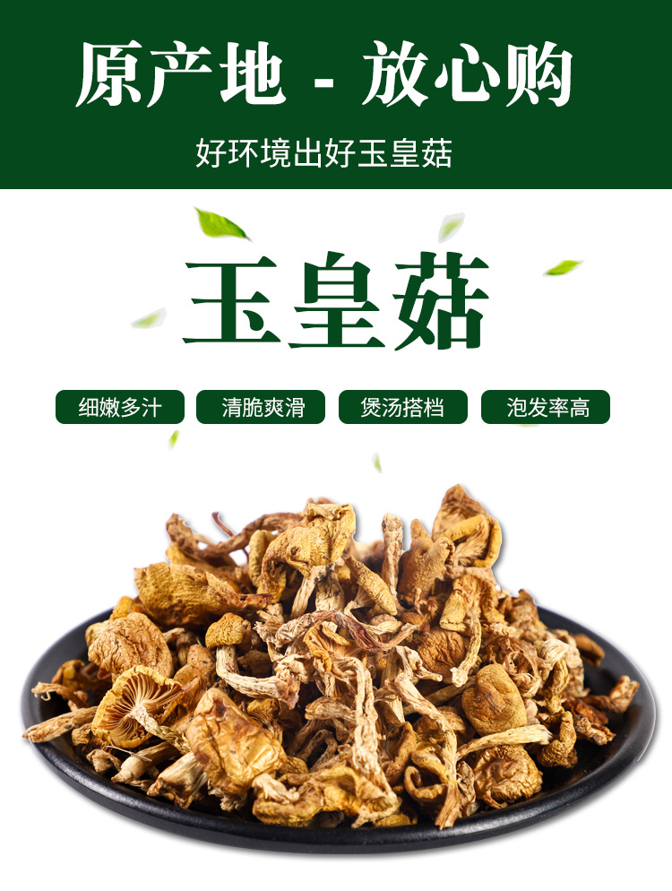 东北玉皇蘑榆黄菇菇肉厚360g特产小鸡炖蘑菇干货罐装蘑菇批发