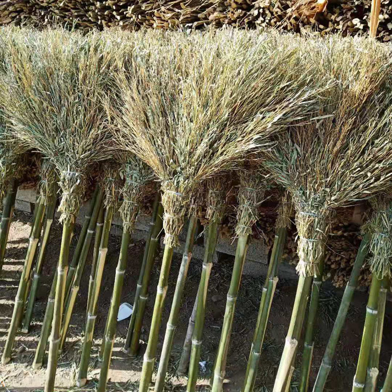 大量批发扫把 带杆竹扫帚 学校保洁扫院子扫把 家用扫把