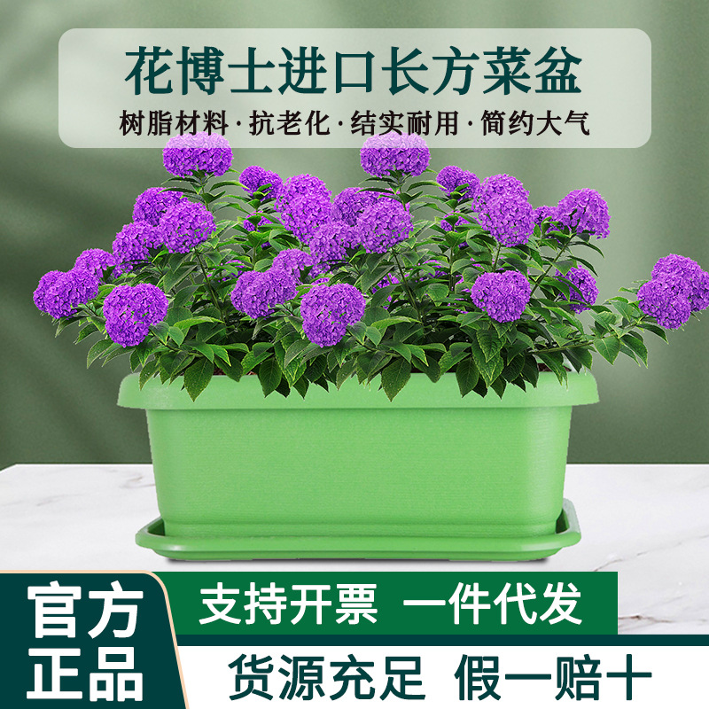 花博士加厚树脂蔬菜种植箱大号长方形塑料阳台种菜盆神器清仓包邮