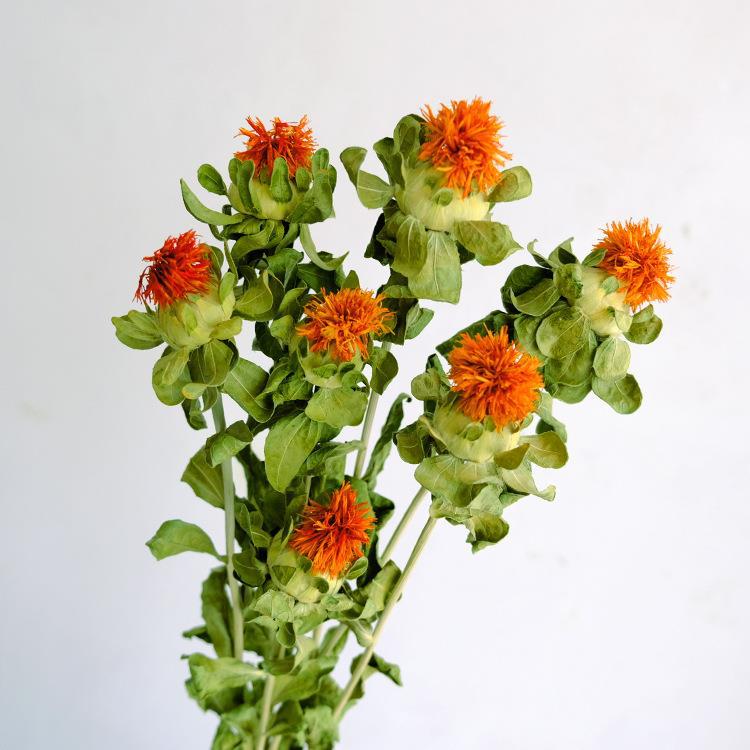 橙菠萝花干花花束菠萝花小雏菊菠萝菊干花装饰家居摆件花束配材