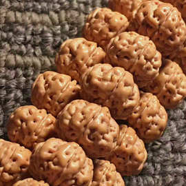 一代树王小金刚菩提子108颗梅花桩矮桩蜂窝满肉双龙纹树王原籽