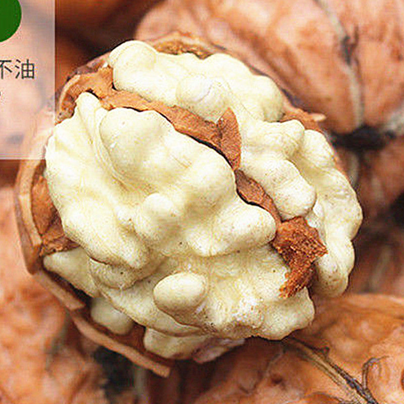 四川大凉山年新货湿核桃山核桃儿童高山农家老树新鲜核桃