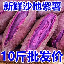 紫薯仔甜沙地新鲜批发价一整箱蜜薯糖心地瓜红薯番薯2/5/10斤批发
