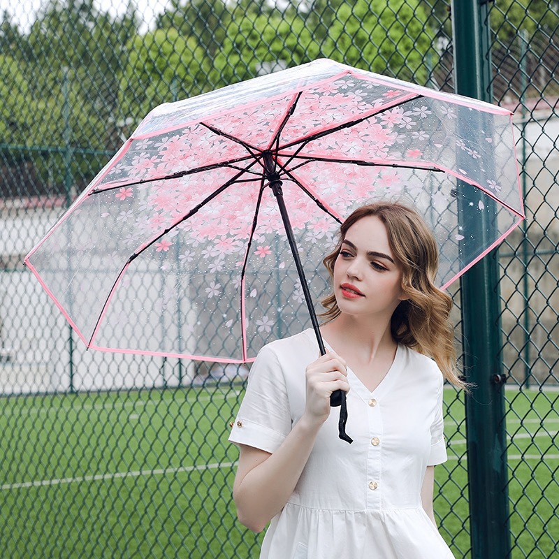 樱花伞网红拍照好看伞女透明伞高颜值自动折叠礼品广告晴雨两用伞