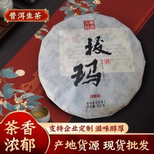 普洱茶源头厂家批发南糯山拔玛寨头春古树茶纯料制普洱生茶七子饼