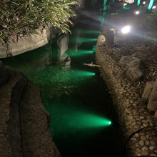 太阳能灯鱼池灯水池灯户外草坪灯水底灯庭院灯花园照树灯投射批发