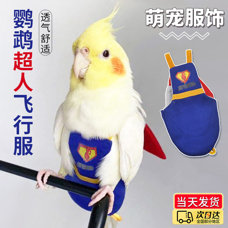 跨境新款鹦鹉鸟用尿不湿宠物鹦鹉衣服屎兜夏季外出卡通飞行服批发