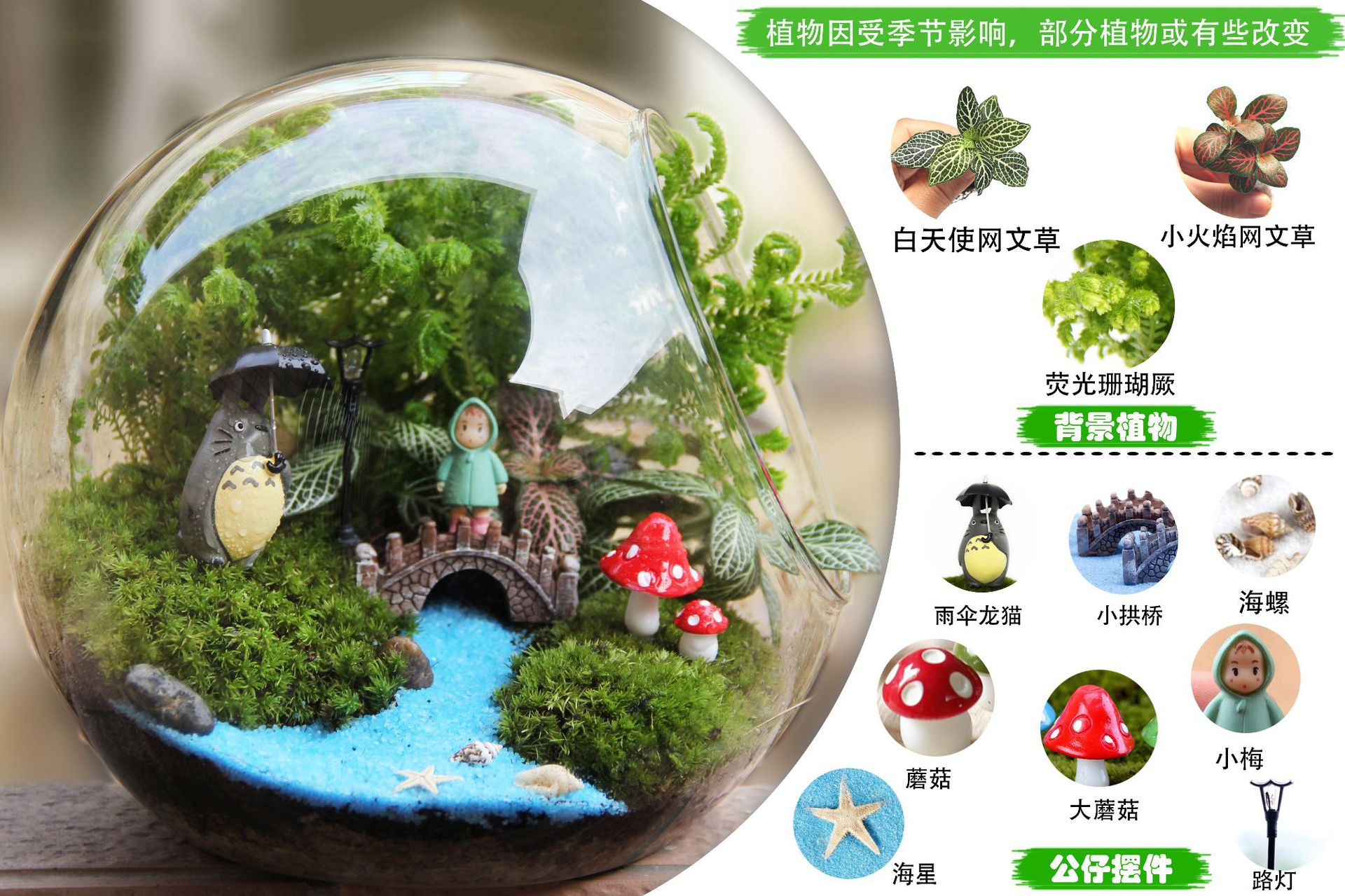 创意礼品 礼物 苔藓微景观 微景观生态瓶 斜口瓶植物 小世界