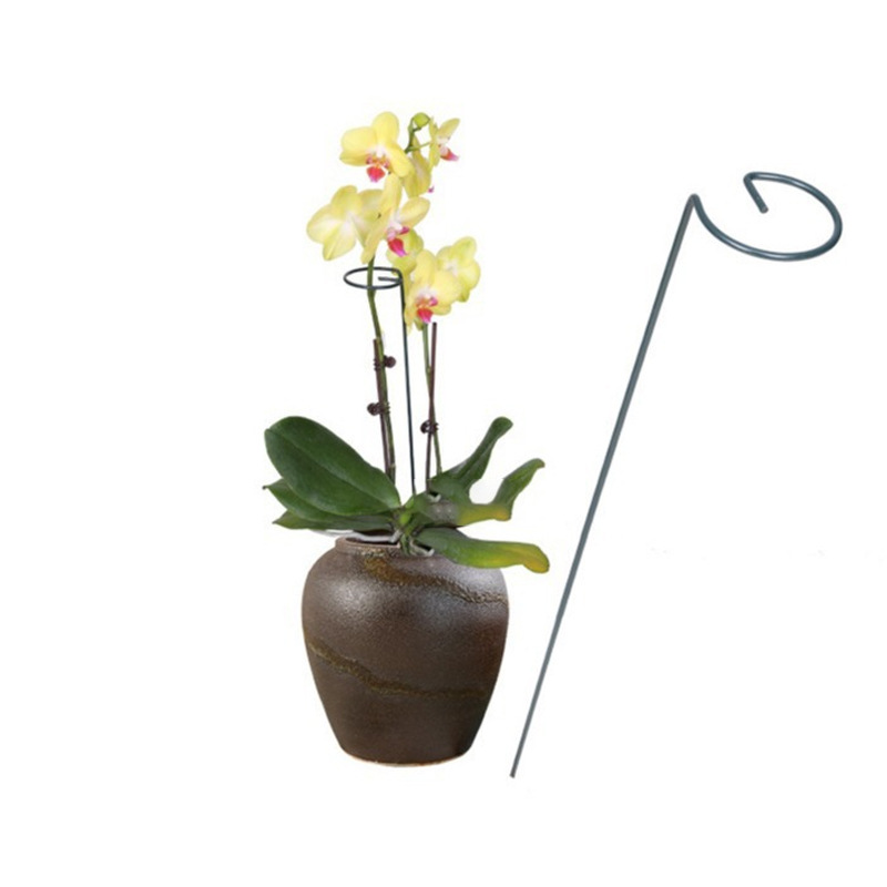 植物盆栽花卉支撑杆 铁艺攀爬架固定花架支架 蝴蝶兰爬藤花盆架