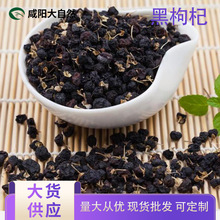 黑枸杞 黑果枸杞 苏枸杞食品原料批发Lycium ruthenicum Murray