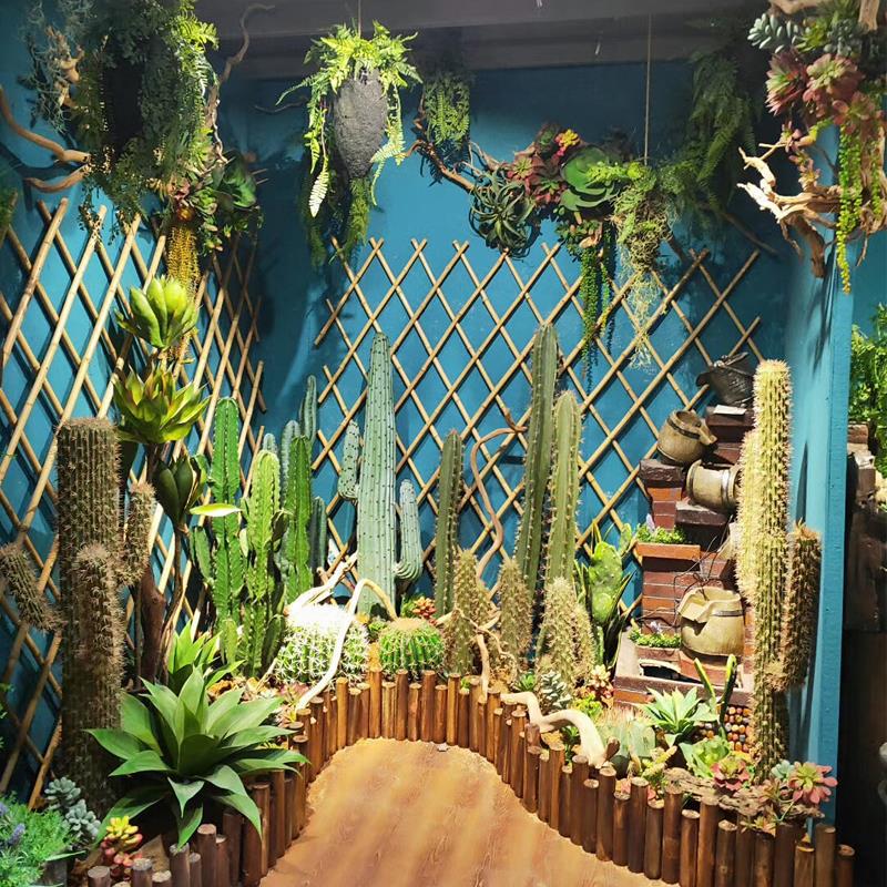 仙人掌盆栽大型沙漠商场搭配组合造景车行室内楼梯间景观装饰