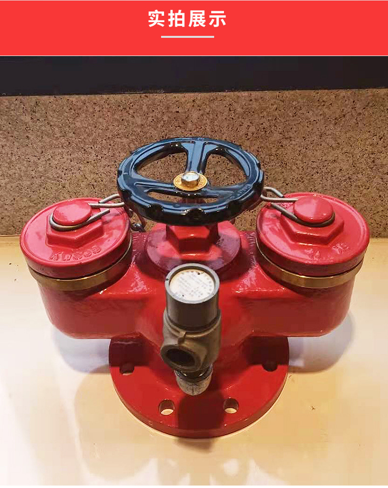 6adn100消防水泵接合器