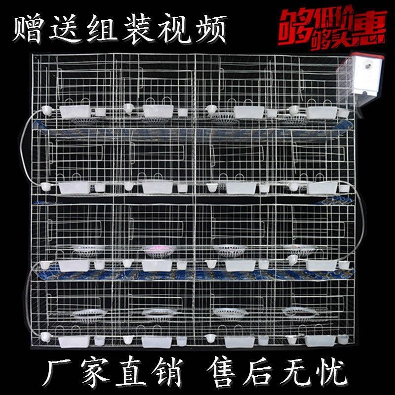 鸽子笼子养殖笼家用配对鸽笼12位种鸽子繁殖笼16位肉鸽养殖笼大纳